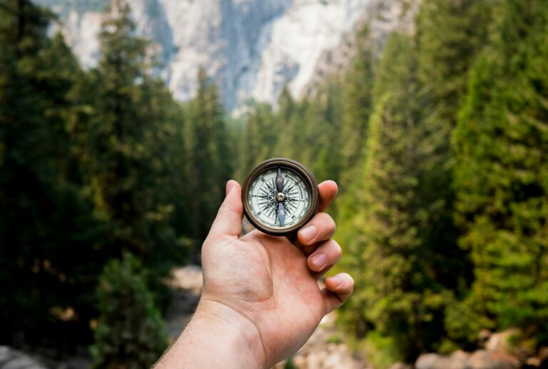 Orientación Laboral y de Carrera: descubre tu camino profesional