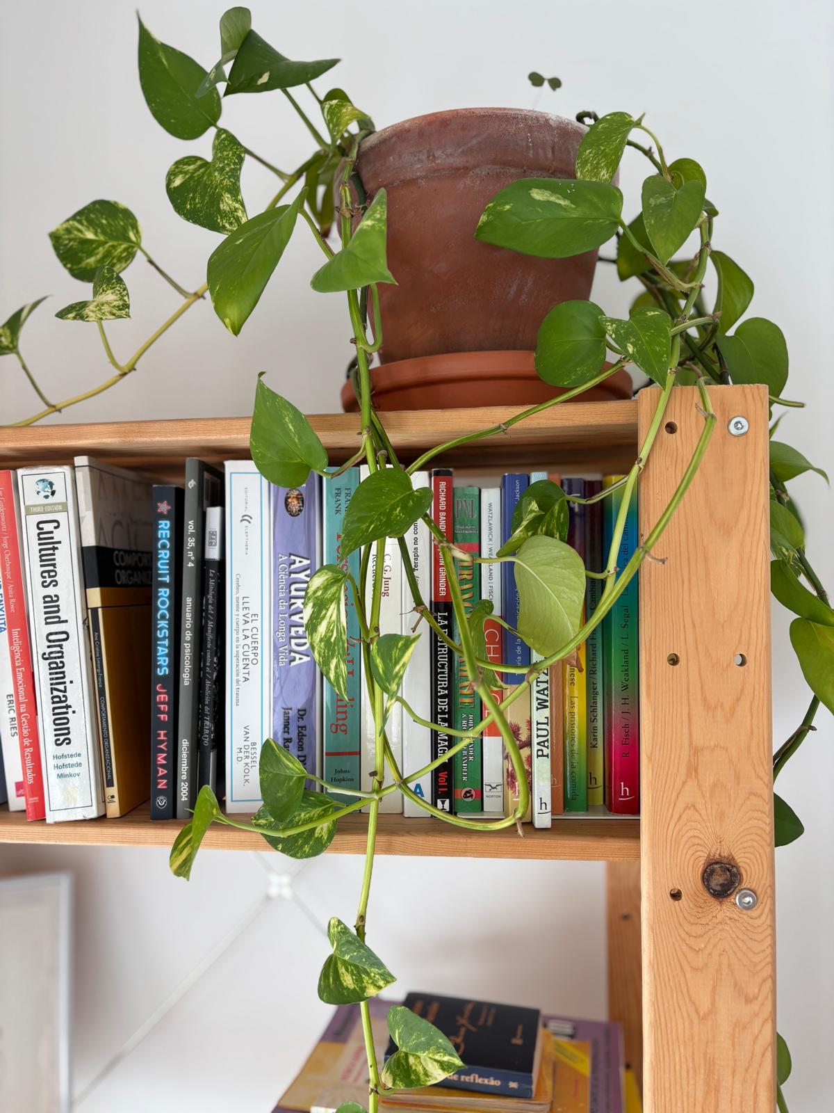 Espai Terapèutic - Sala de tratamiento